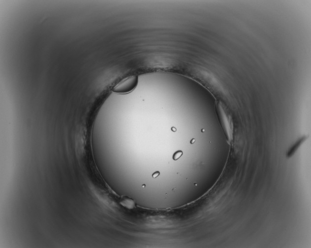 X0000088150544200705211158