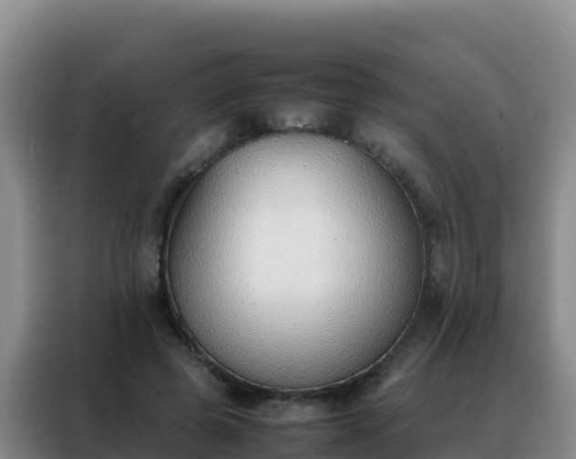 X0000088150545200705211158