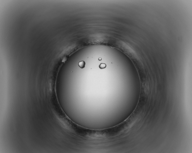 X0000088150546200705211158