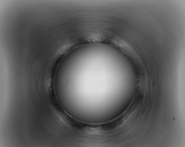 X0000088150548200705211158