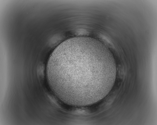 X0000088150550200705211158