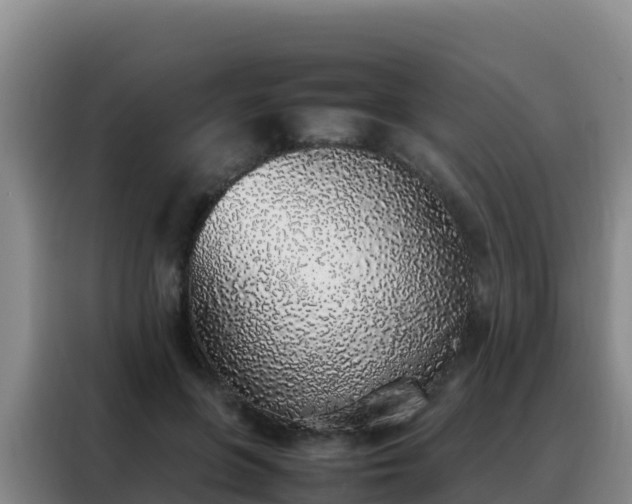 X0000088150551200705211158