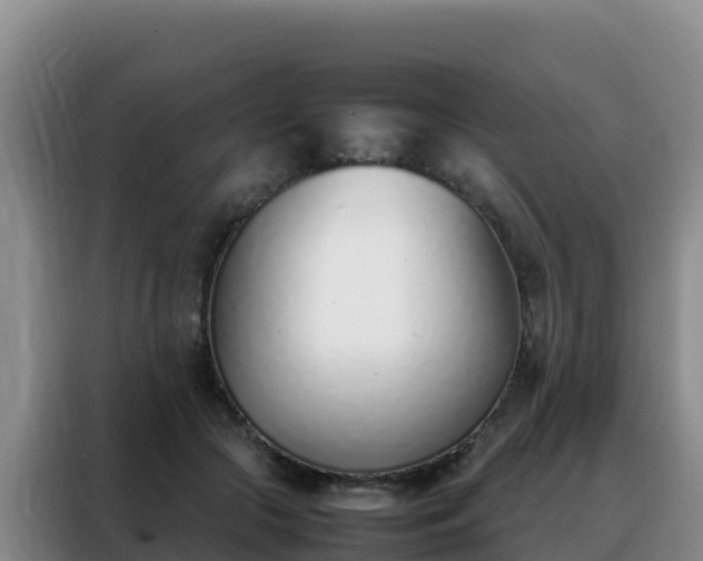 X0000088150553200705211158