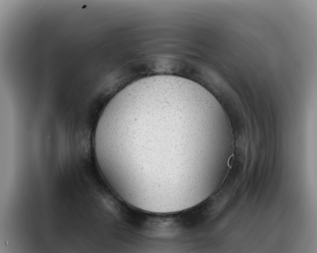 X0000088150554200705211158