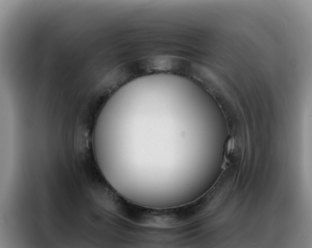 X0000088150555200705211158