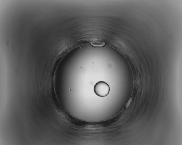 X0000088150556200705211158