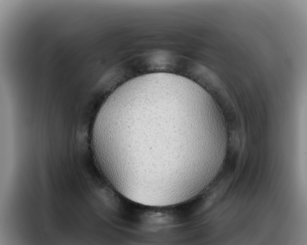 X0000088150557200705211158