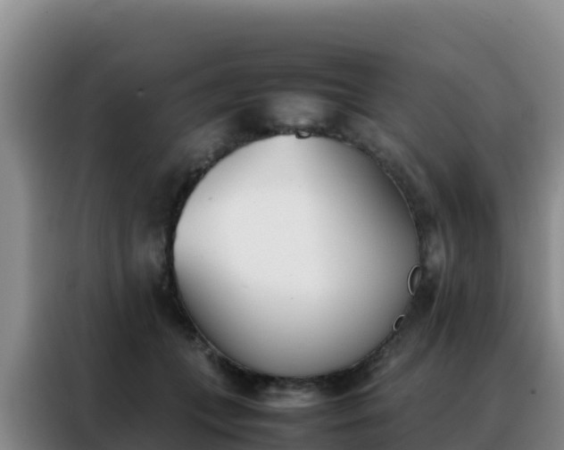 X0000088150559200705211158