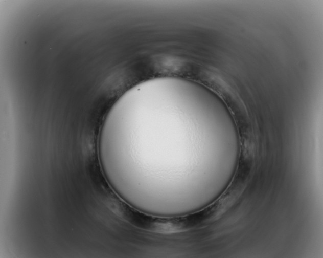 X0000088150561200705211158