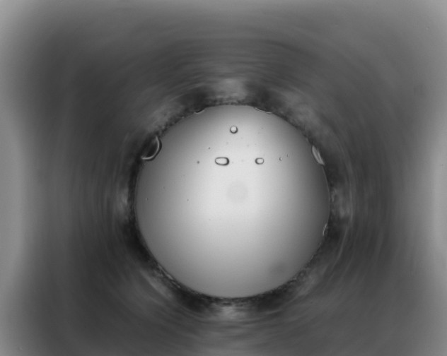 X0000088150564200705211158