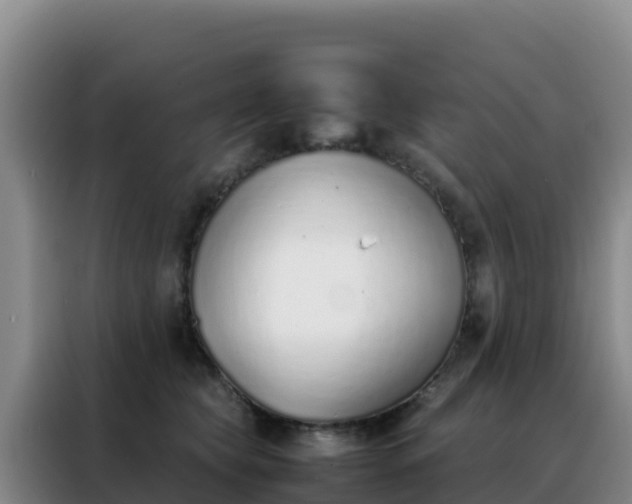 X0000088150565200705211158