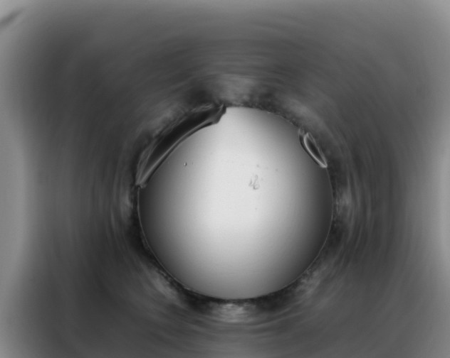 X0000088150566200705211158