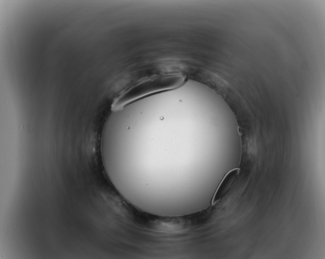 X0000088150567200705211158