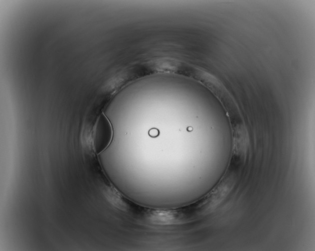 X0000088150573200705211158