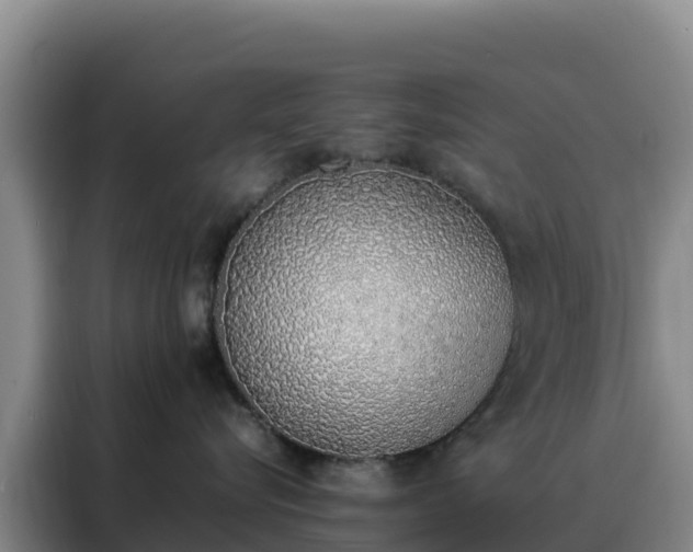 X0000088150576200705211158