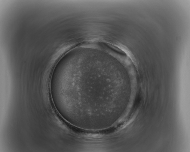 X0000088150577200705211158