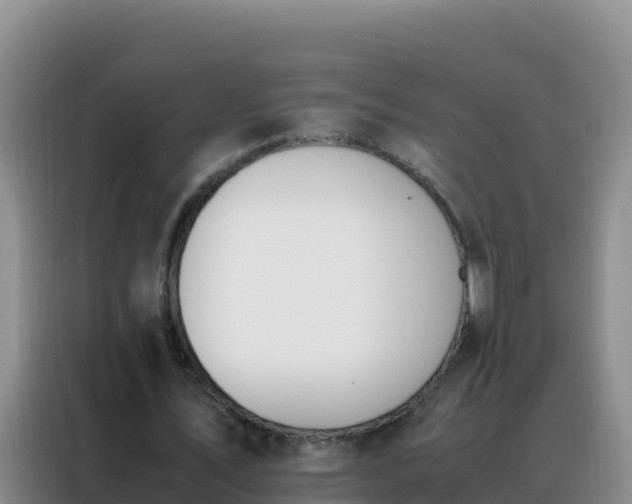 X0000088150579200705211158