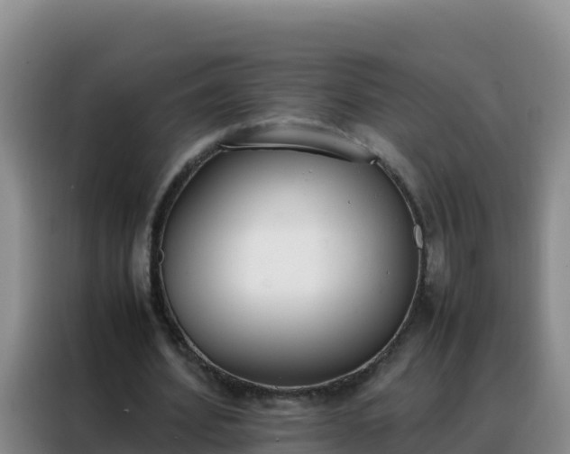 X0000088150580200705211158