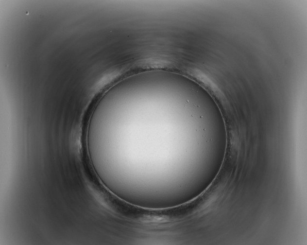 X0000088150582200705211158