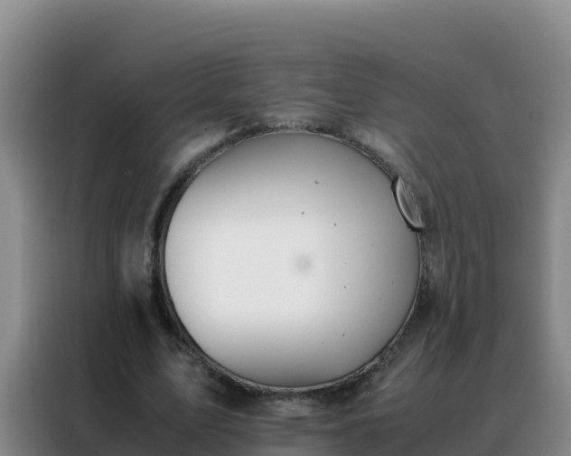 X0000088150583200705211158