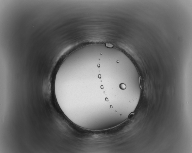 X0000088150584200705211158