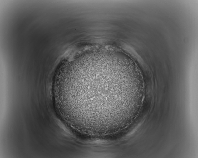 X0000088150585200705211158