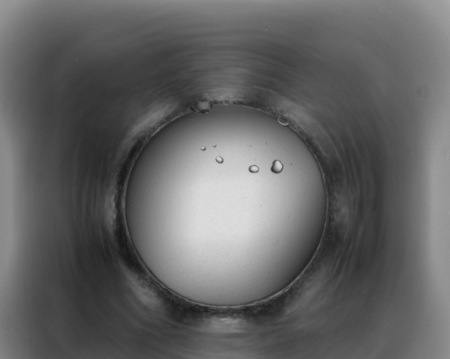 X0000088150586200705211158