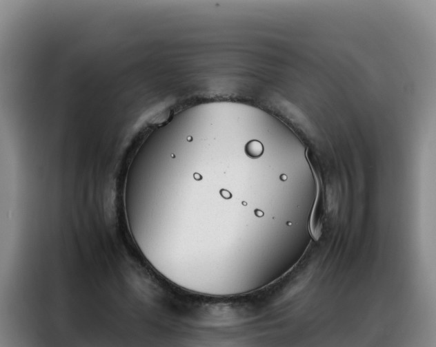 X0000088150588200705211158