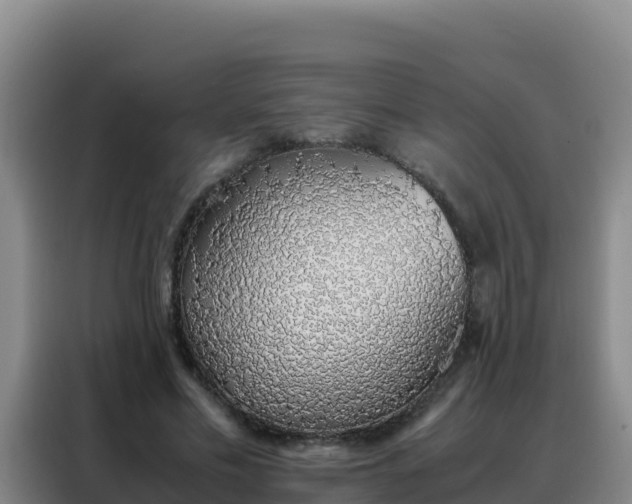 X0000088150589200705211158