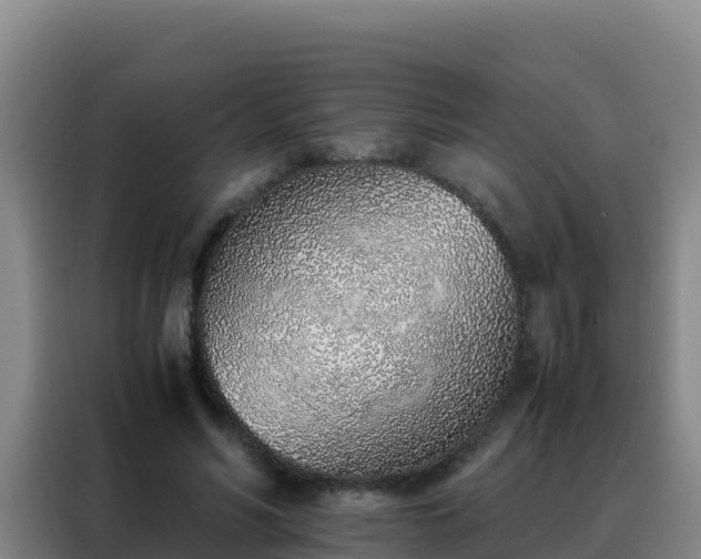 X0000088150590200705211158