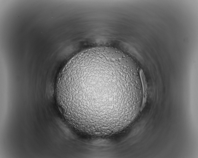 X0000088150593200705211158