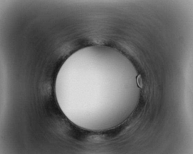 X0000088150595200705211158