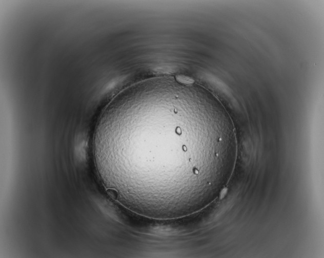 X0000088150596200705211158