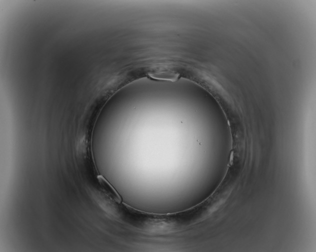 X0000088150597200705211157