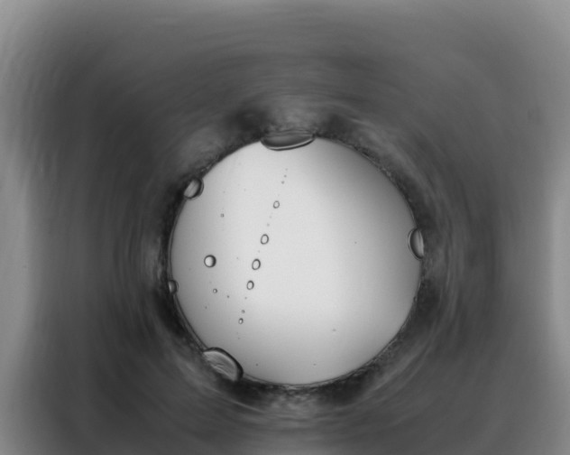 X0000088150599200705211157