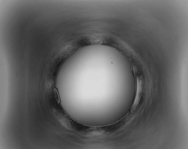 X0000088150601200705211157