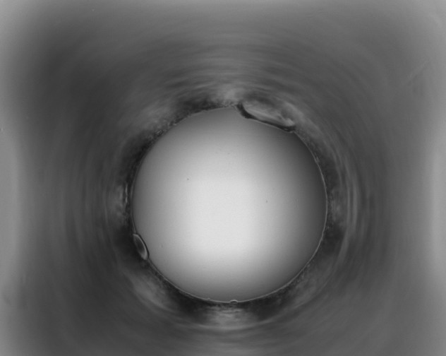 X0000088150605200705211157