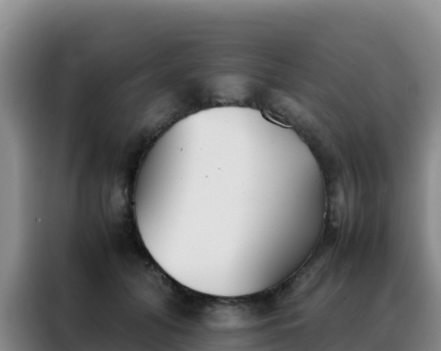 X0000088150608200705211157