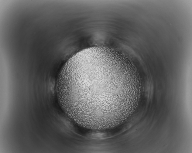 X0000088150610200705211157