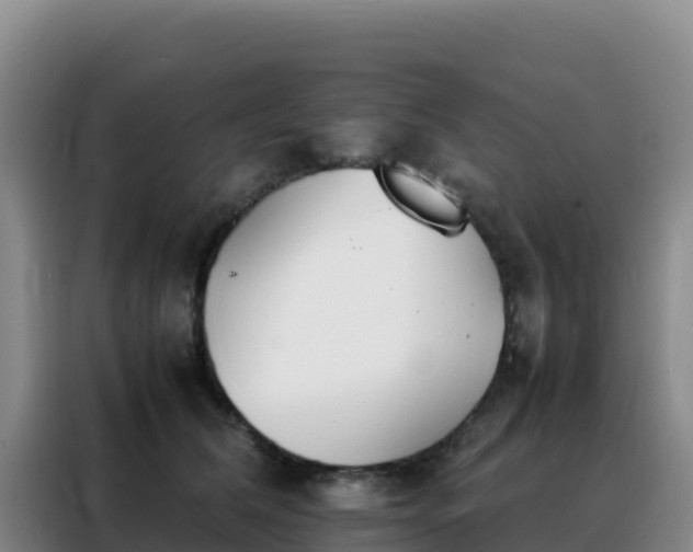 X0000088150612200705211157