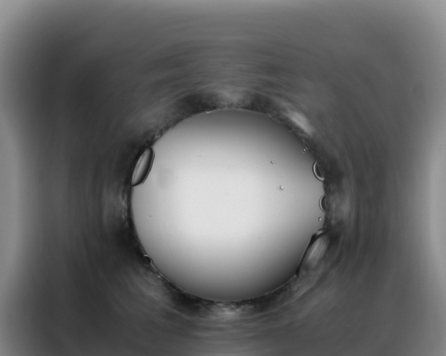 X0000088150613200705211157