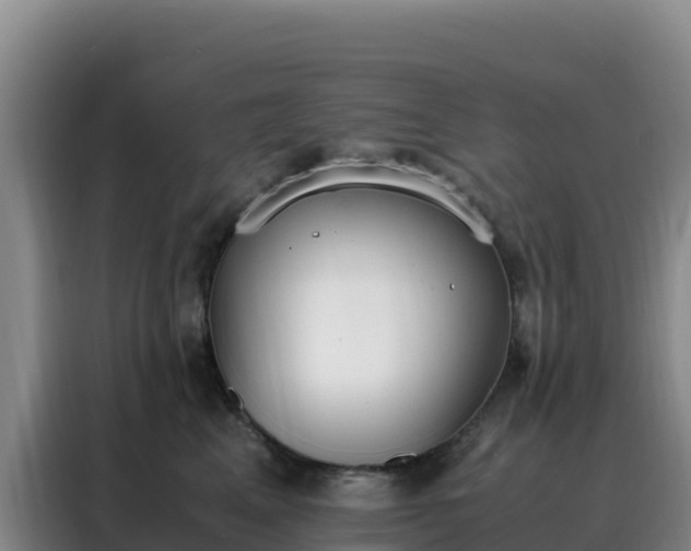 X0000088150617200705211157