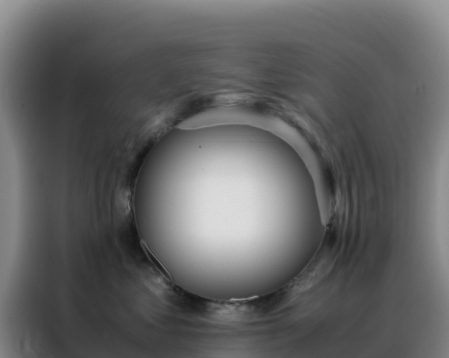 X0000088150621200705211157