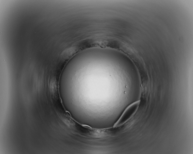 X0000088150623200705211157