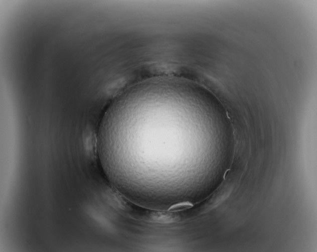 X0000088150624200705211157