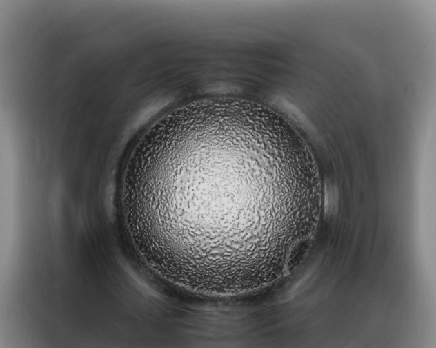 X0000088150627200705211156