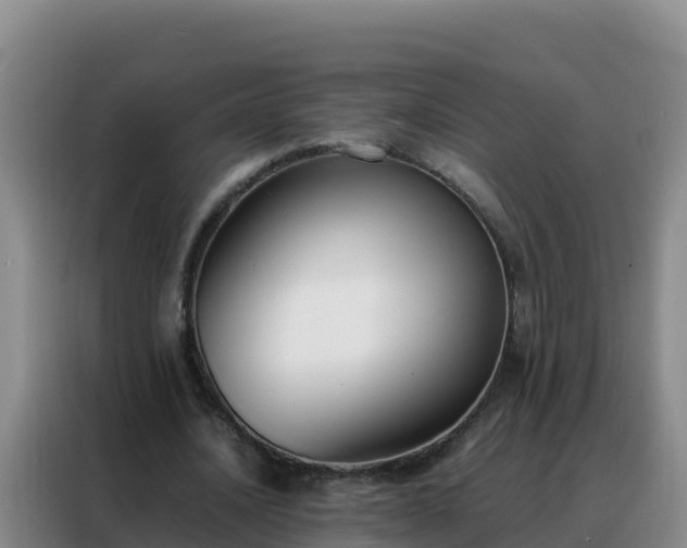 X0000088150628200705211156