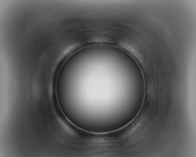 X0000088150629200705211156