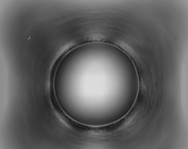 X0000088150630200705211156