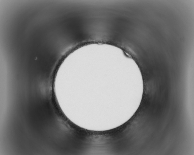 X0000088150632200705211156